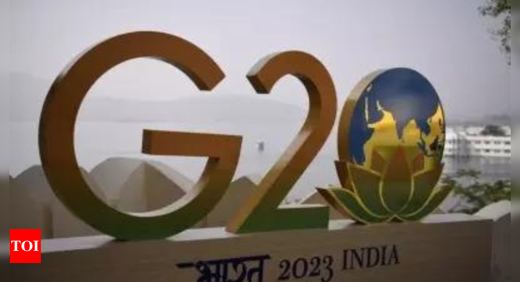 रूस: रूस-यूक्रेन संघर्ष G20 बैठक में निभाएगा बड़ी भूमिका, भारत ने कहा |  भारत समाचार