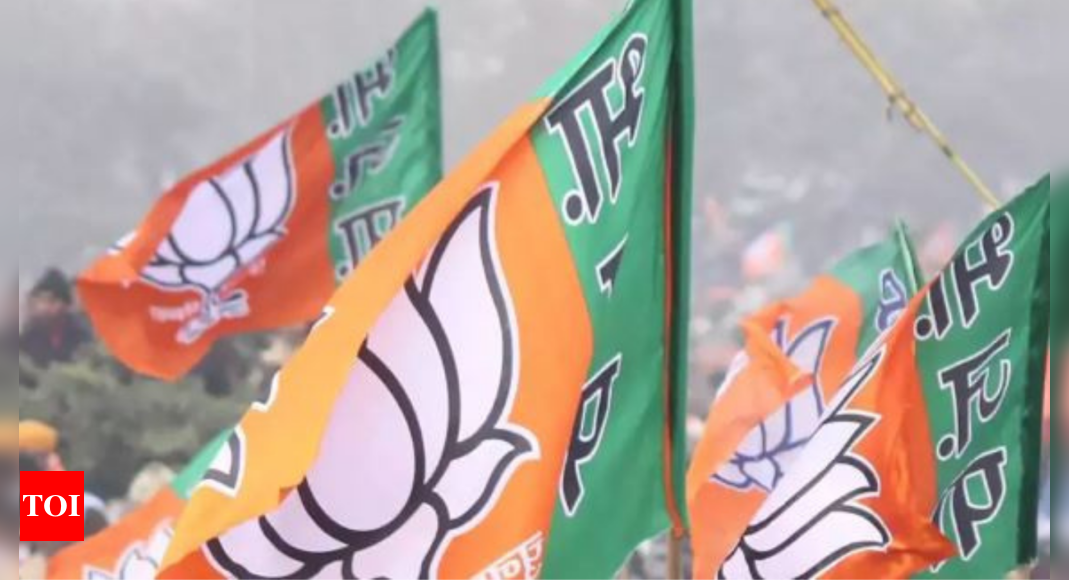 Bjp: Lok Sabha Elections 2024: बिहार में 'दुर्लभ' सामाजिक गठबंधन से महागठबंधन को टक्कर देना चाहती है BJP |  भारत समाचार