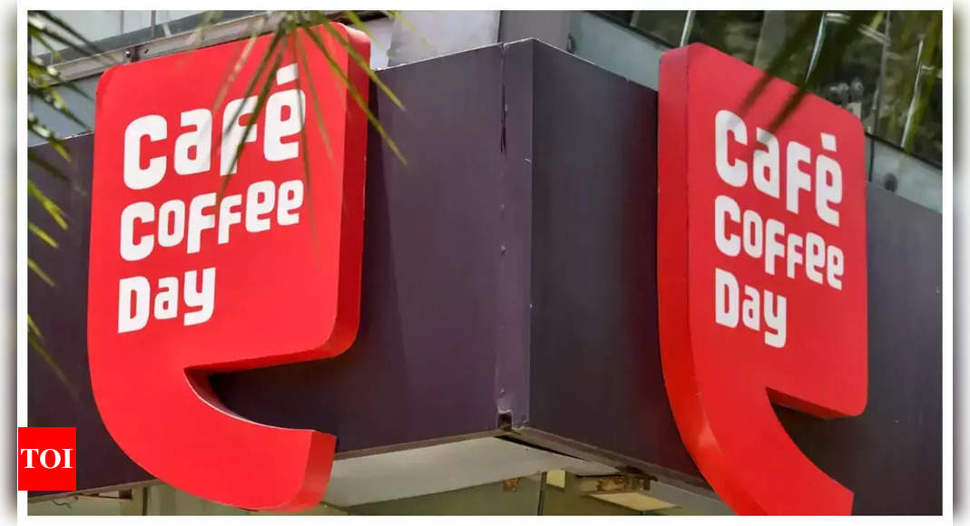 NFRA bans Coffee Day auditors, slaps penalty