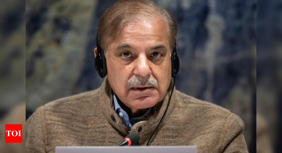 Nawaz Sharif to be Pakistan premier if PML-N returns to power: PM Shehbaz