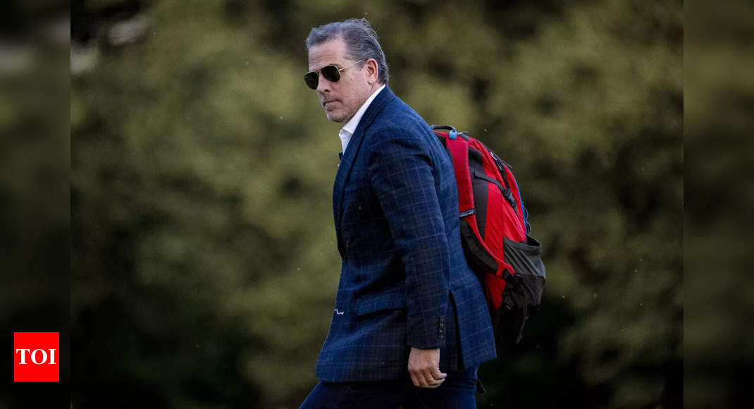 Hunter Biden: 'Hunter Biden sold 'illusion of access' to his father'