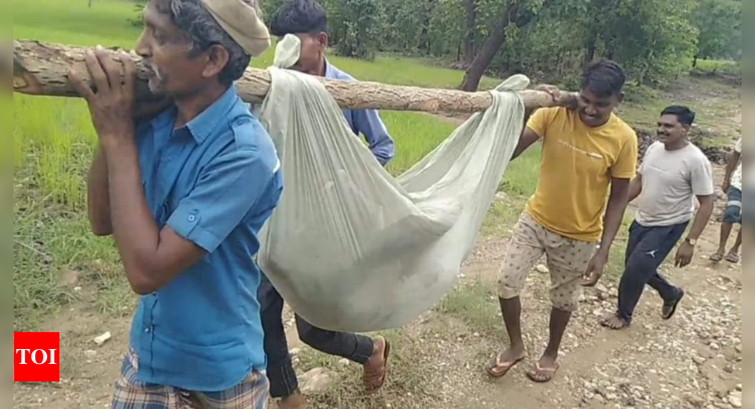 Poor road connectivity: Man carried for 5km to reach ambulance on ‘swing’ | India News