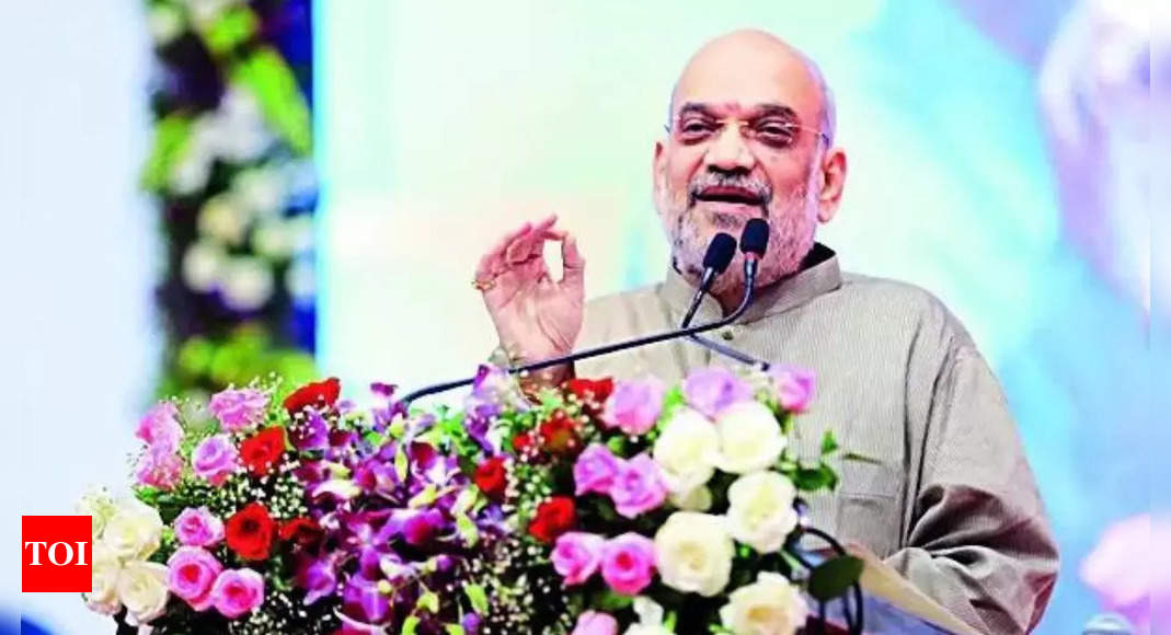 Amit Shah: In 10 years, India will be exporting key pharma ingredients | India News