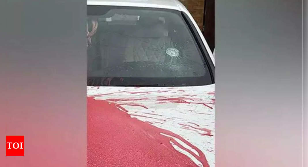 London: Sikh restaurant owner's car reportedly shot at, vandalised by alleged Khalistan supporters