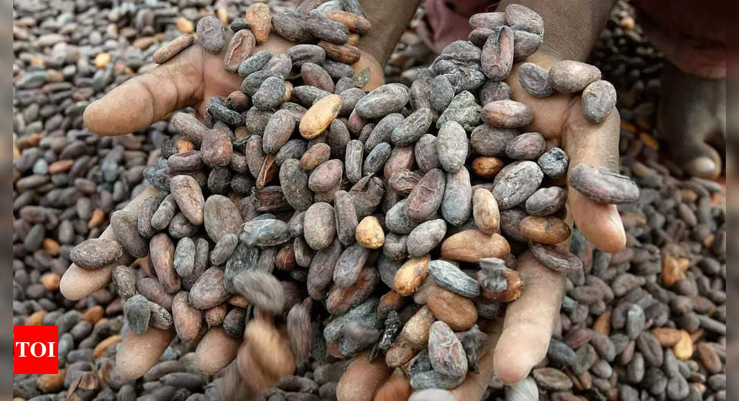 Cocoa Consumption: 'India emerging market for cocoa, should become inter-govt body ICCO member'