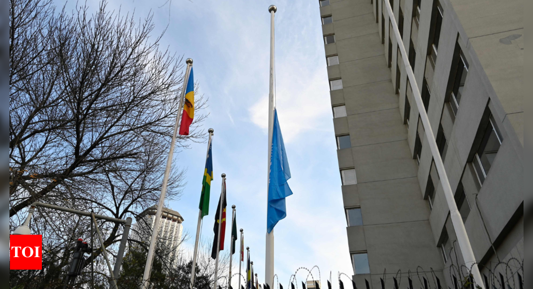 Charles Darwin: UN flags at half-mast for staff killed in Gaza