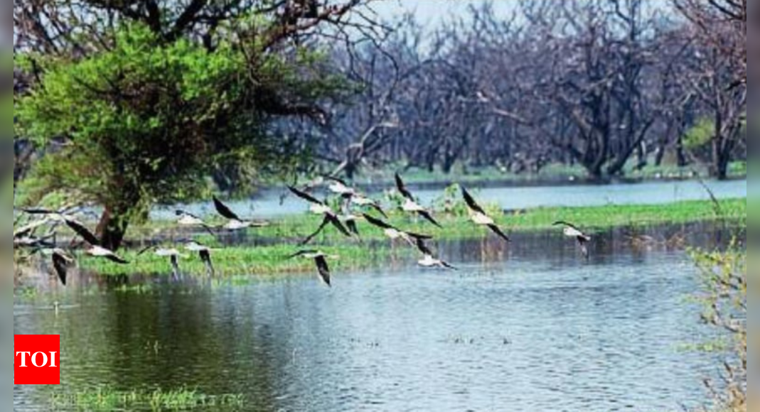 5 more wetlands get Ramsar tag, takes India to 4th position globally