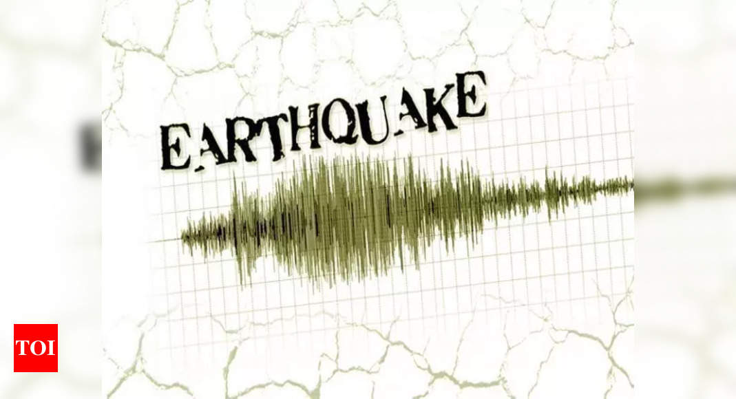 Earthquake of 4.1 magnitude strikes Gujarat's Kachchh