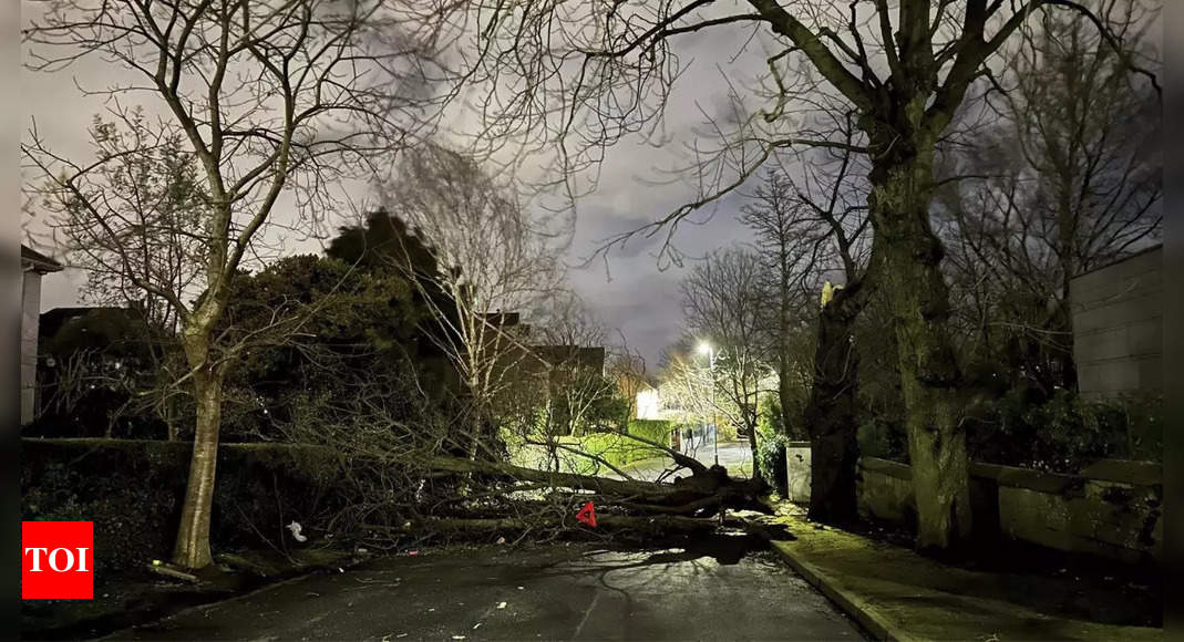 Norway's most powerful storm in over 30 years leaves a trail of destruction