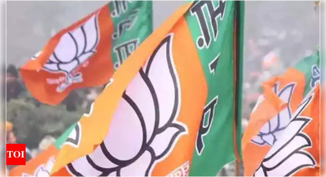 Gujarat: 23 candidates of BJP, Congress file nomination for LS polls | India News