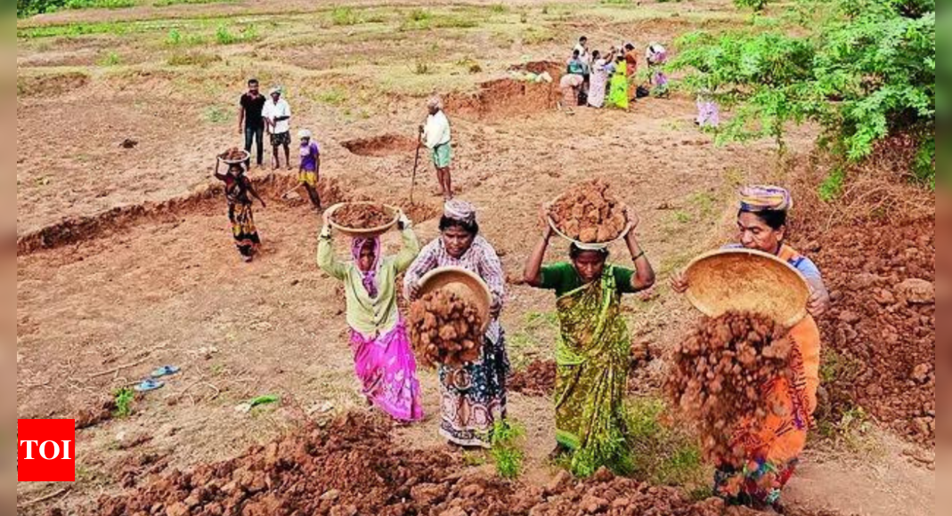 Rural job scheme in huge demand, hints at ongoing distress in villages | India News