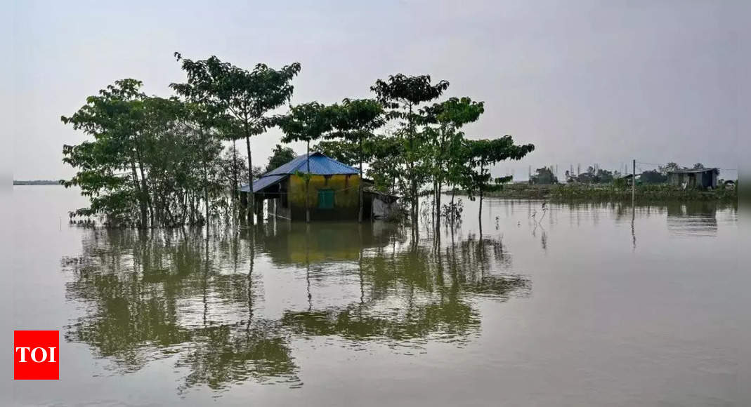 Why Indian cities flood during monsoon rains | India News