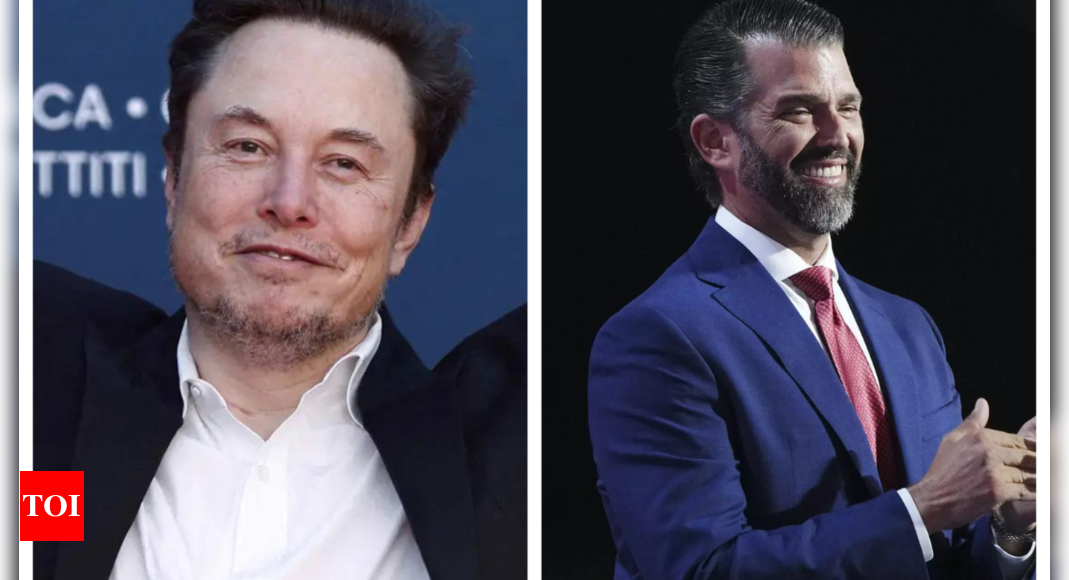 Elon Musk Buying MSNBC: Elon Musk asks Donald Trump Jr how much MSNBC costs. X users say, 'We've been here before'