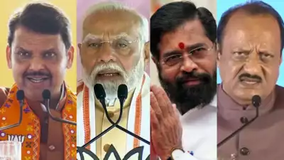 Maharashtra election results: 5 reasons why BJP-led Mahayuti swept the state