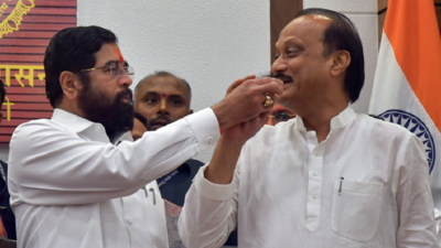 Maharashtra mandate defines the 'real Senapati' and the 'real Pawar'